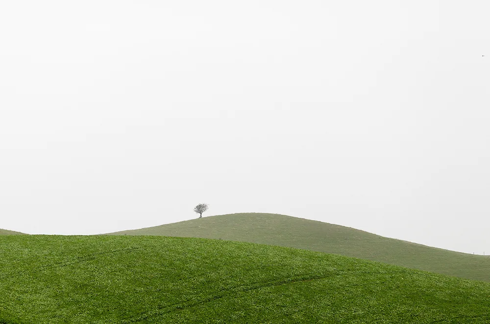parkhill prarie