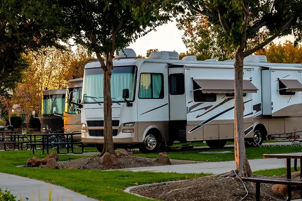 rvs parked in a rv parking